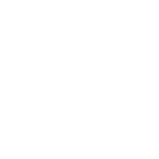 Portal Bridge
