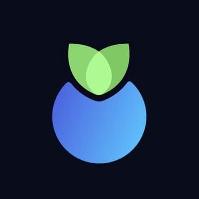 Blueberry
